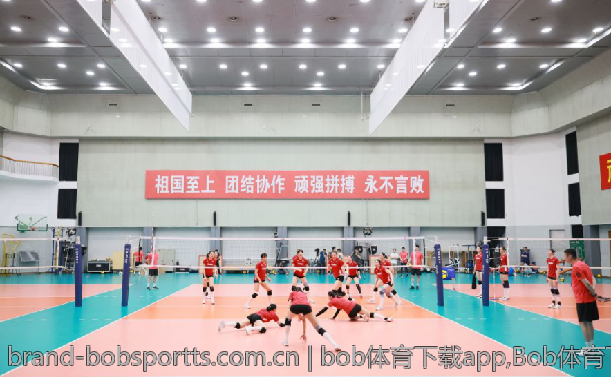 bob体育下载app,Bob体育下载app的综合使用体验回顾