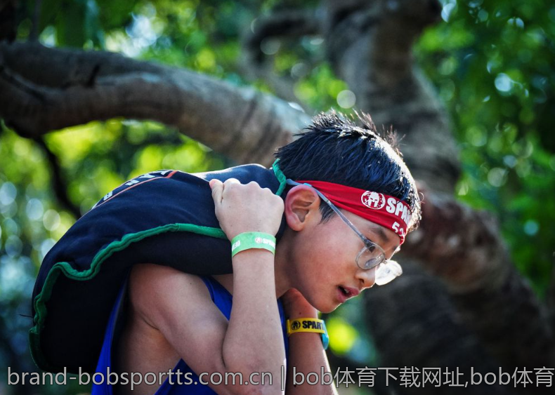 bob体育下载网址,bob体育下载地址的历史与现状
